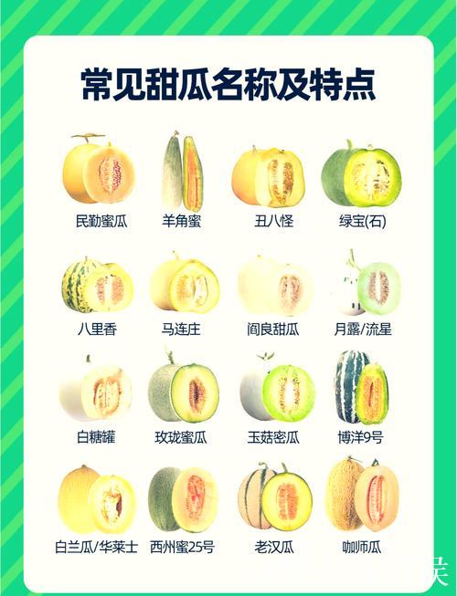 51吃瓜全网必吃十大热搜大瓜揭秘